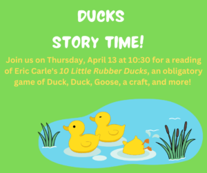 Ducks Story Time (1)
